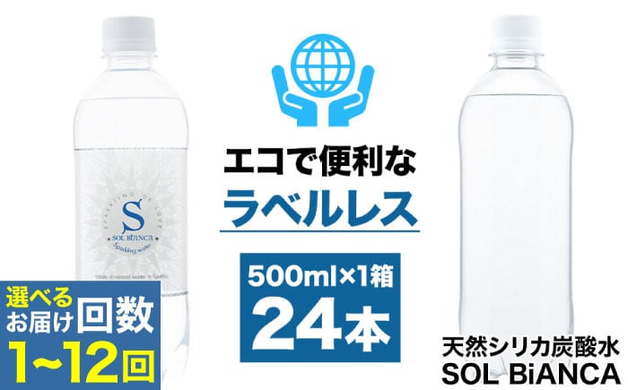 
            【選べる配送回数】【先行予約・2月以降発送】シリカ炭酸水 ソルビアンカ ラベルレス 500ml×24本 日田市 / 株式会社OTOGINO 炭酸 飲料 水 [AREF065-145]
          