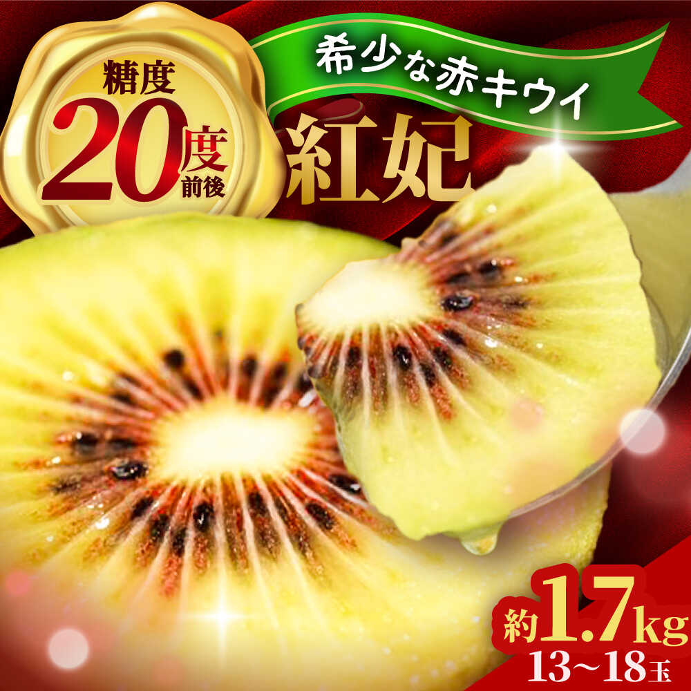 【先行予約】【12月上旬～発送】【ふるさと納税】赤キウイ「紅妃」特大サイズ 1.7kg ／ キウイ キウイフルーツ 果物 フルーツ 国産 産地直送 農家直送 人気 おすすめ 送料無料 贈り物 ギフト プレゼント 四国 愛媛県 内子町 【スマイル農園たかの】[BKCD001] 18000 18000円