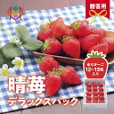 【ふるさと納税】 しあわせ届けるいちご農園HappyComeComeの晴苺(はれいちご) 450g ハレの日に晴苺(はれいちご)(《2024年12月中旬-3月下旬頃出荷》 苺 いちご ストロベリー