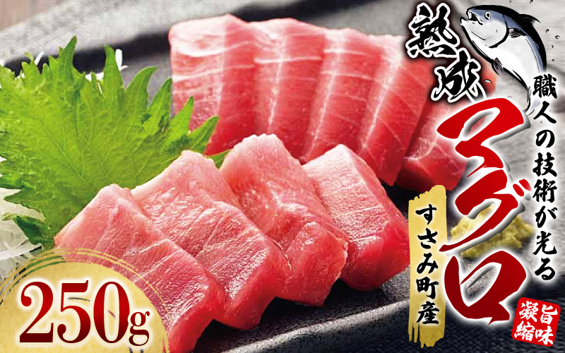 
            すさみの熟成マグロ　約250g /まぐろ 鮪 刺身 新鮮 鮮度 冷凍 和歌山県 すさみ町【gyg136A】
          