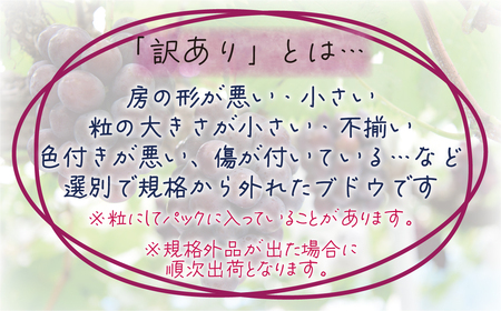 【2616-0465】岡山 花笑み農園 訳あり『ぶどう2種』 1kg W2M-1