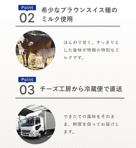 皆川牧場 チーズ ３種 セット　モッツァレッラ　カチョッタ　スカモルツァ　ご当地　船橋産