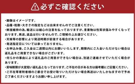 いちご詰合せ 普通箱 約1.8kg 倉敷産 イチゴ いちご 苺 フルーツ 果物 詰め合わせ セット【2025年12月上旬～2026年3月下旬迄順次発送予定】