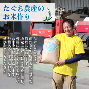 先行予約 令和7年産 こしひかり 5kg×2袋(10kg)  新米 米 精米 コメ お米 白米 ご飯 コシヒカリ 10kg 5kg 令和7年 滋賀 彦根