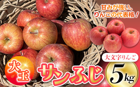 ≪12/31までの受付≫【１2月上旬より順次発送】大文字りんご園 サンふじ 『大玉サイズ』 約5kg (約10～12玉)/【dma513-sf-5D-big】