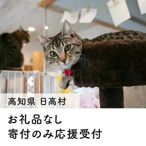 【お礼の品なし】保護猫支援（里親募集型保護猫カフェ）｜寄付・動物愛護・保護猫活動応援