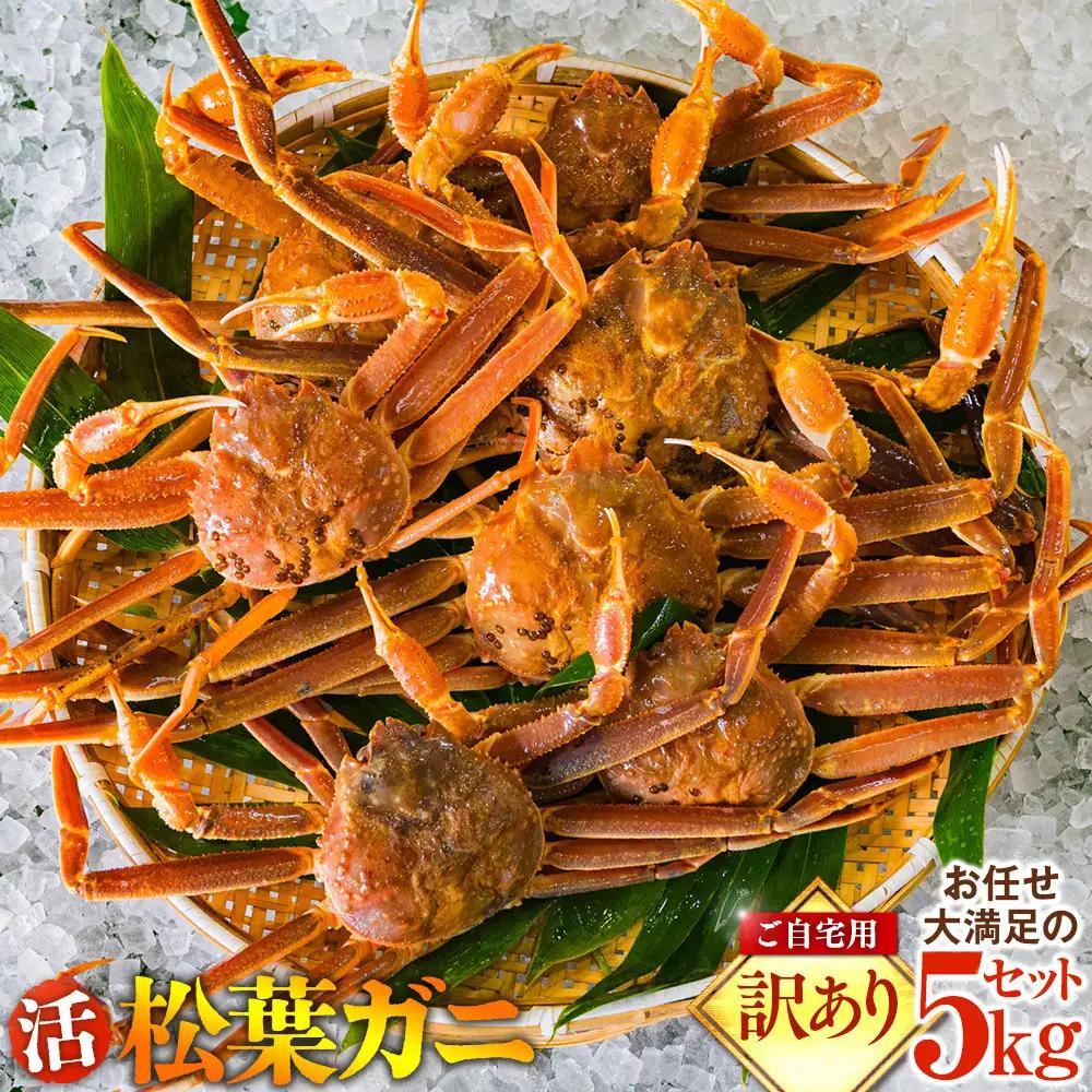 .ご自宅用　活訳あり松葉ガニ　お任せ大満足の5kgセット  | カニ 松葉ガニ 活 美味しさに 訳あり 大容量 【着日指定不可】※2026年11月上旬～2027年3月下旬頃に順次発送予定