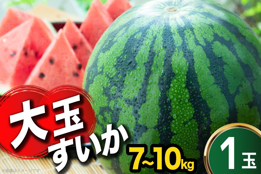BJ634 【令和9年度出荷分】 スイカ 大玉スイカ 2L～3Lサイズ（7～10kg） [ フルーツ 果物 大玉 大きい 2L 3L まるき農園 長崎県 島原市 ]