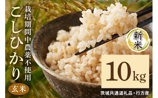 令和7年産新米 玄米 10kg 栽培期間中農薬不使用 こしひかり 茨城県産 米 お米 コメ ご飯 コシヒカリ 食味豊か 甘み 旨み 冷めても 美味しい お弁当 向け 食卓常備 産地直送 茨城県 潮来市 ＜茨城県共通返礼品・行方市産＞ (A03-013)