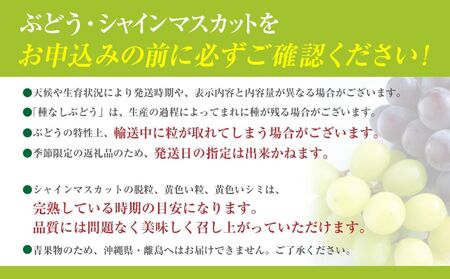 【2025年発送分 先行予約】 シャインマスカット 約2.2kg（3～5房） 8月中旬以降発送予定 フルーツ 山梨県産 果物 シャイン マスカット ぶどう ブドウ 大粒 種なし 産地直送  富士川町 