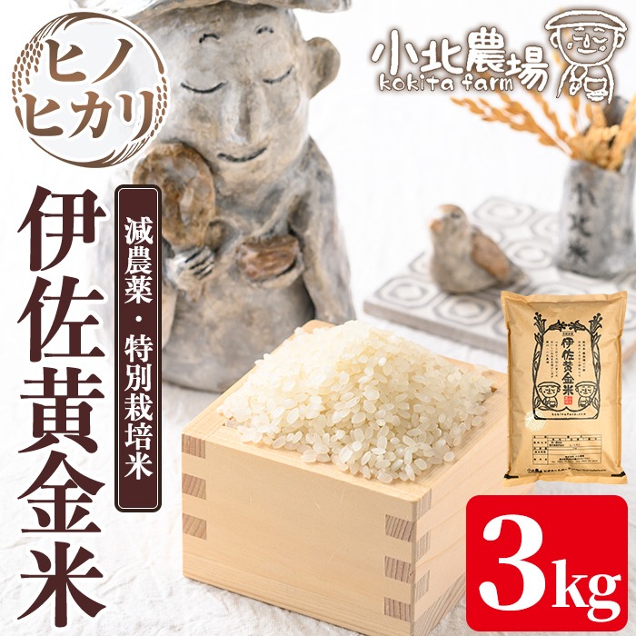 isa954 《数量限定》令和7年産 小北農場のお米 伊佐黄金米〈ヒノヒカリ〉(3kg) 鹿児島 伊佐 お米 特別栽培米 伊佐米 白米 ヒノヒカリ ひのひかり おにぎり ごはん 【小北農場】