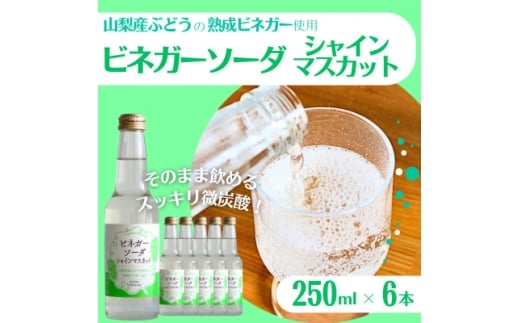 山梨産ぶどう100%の熟成ビネガーの、そのまま飲める「ビネガーソーダシャインマスカット6本セット」【1658078】