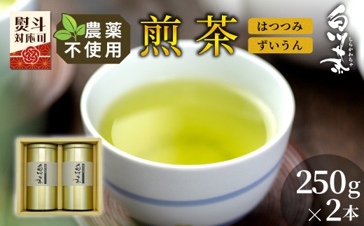 
                  農薬不使用！煎茶 ギフト NO.1 (はつつみ250g＋ずいうん250g 計500g)  常磐園 ずいうん 日本茶 緑茶 煎茶 茶葉 お茶 一番茶 白川茶 美濃白川茶 農薬不使用栽培茶 春摘み 大容量 岐阜県 東白川村 お取り寄せ 贈答用 プレゼント ギフトセット
                