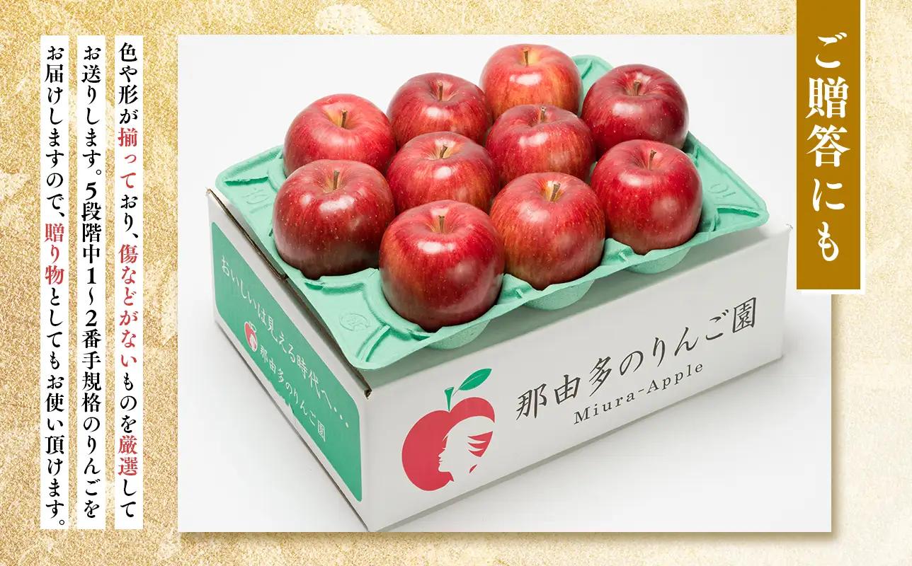 【レビューキャンペーン】1~2月発送 贈答用 糖度証明書付 シナノスイート 約3kg[hi-0005-040]