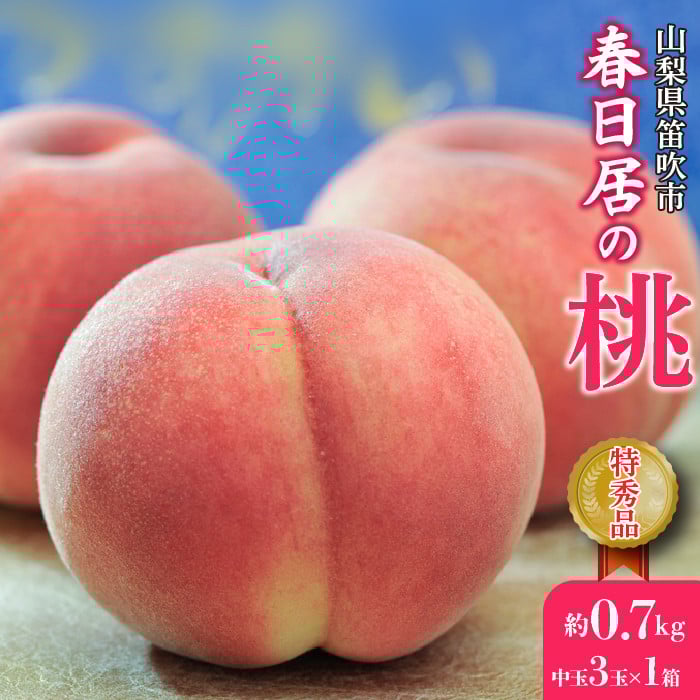 
            ＜25年発送先行予約＞≪山梨直送≫山梨産「春日居の桃」特秀品・中玉3玉×1箱　合計0.7kg 203-003
          