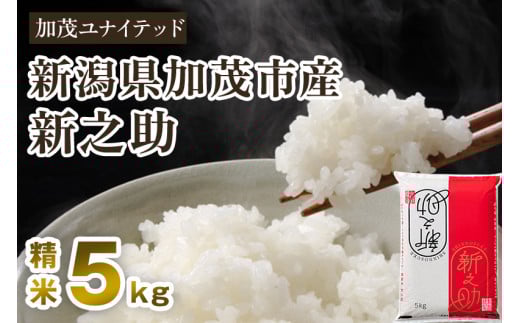 【令和7年産新米先行予約】新潟県産 新之助 精米 5kg （5kg×1袋）《10月上旬から順次発送》 東京・南青山の料亭で使用される極上米 加茂市 加茂ユナイテッド