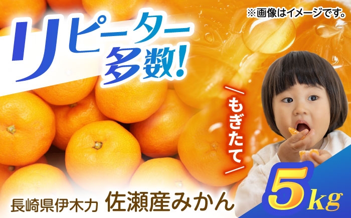 
            <先行受付> 伊木力佐瀬みかん5kg(混合サイズ：S～L)　/　みかん　佐瀬みかん　伊木力みかん　産地直送　産直　/　諫早市　/　山田果樹園 [AHAJ004]
          