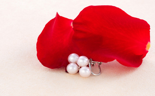 
            V-1アコヤ真珠イヤリング
          