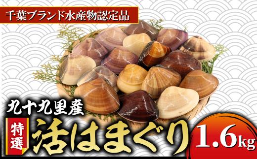 ≪千葉ブランド水産物認定品≫  活け はまぐり 約1.6kg/18～25個 天然  蛤 九十九里産 活 大 冷蔵 魚介 魚貝 海鮮  貝  出汁 だし 味噌汁 酒蒸し グラタン 九十九里浜  お祝い 祝い ひなまつり 節句 おせち 贅沢 人気 おすすめ 贈答 ギフト お取り寄せ 送料無料 ふるさと納税 不動丸  千葉県 旭市 fdm004X1
