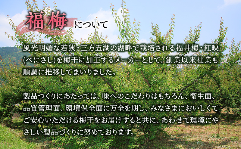 【祝北陸新幹線延伸】梅干し 650g しそ漬け福梅ぼし うめぼし 梅 しそ漬け 福梅干し 紅さし梅 紅映梅 梅 うめ ウメ 福井県 福井