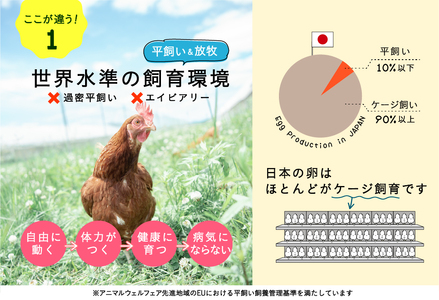 【2ヵ月定期便】平飼い有精卵 50個 計100個【冷蔵便】たまご 玉子 生 冷蔵 [AXAN089]