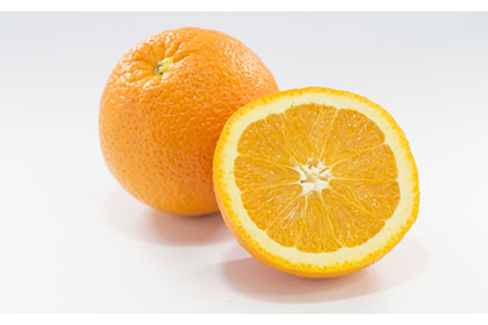 【全12回定期便】しっとり Cleansing gel クレンジング ジェル《糸島》【Yu-ki】[AHJ016]