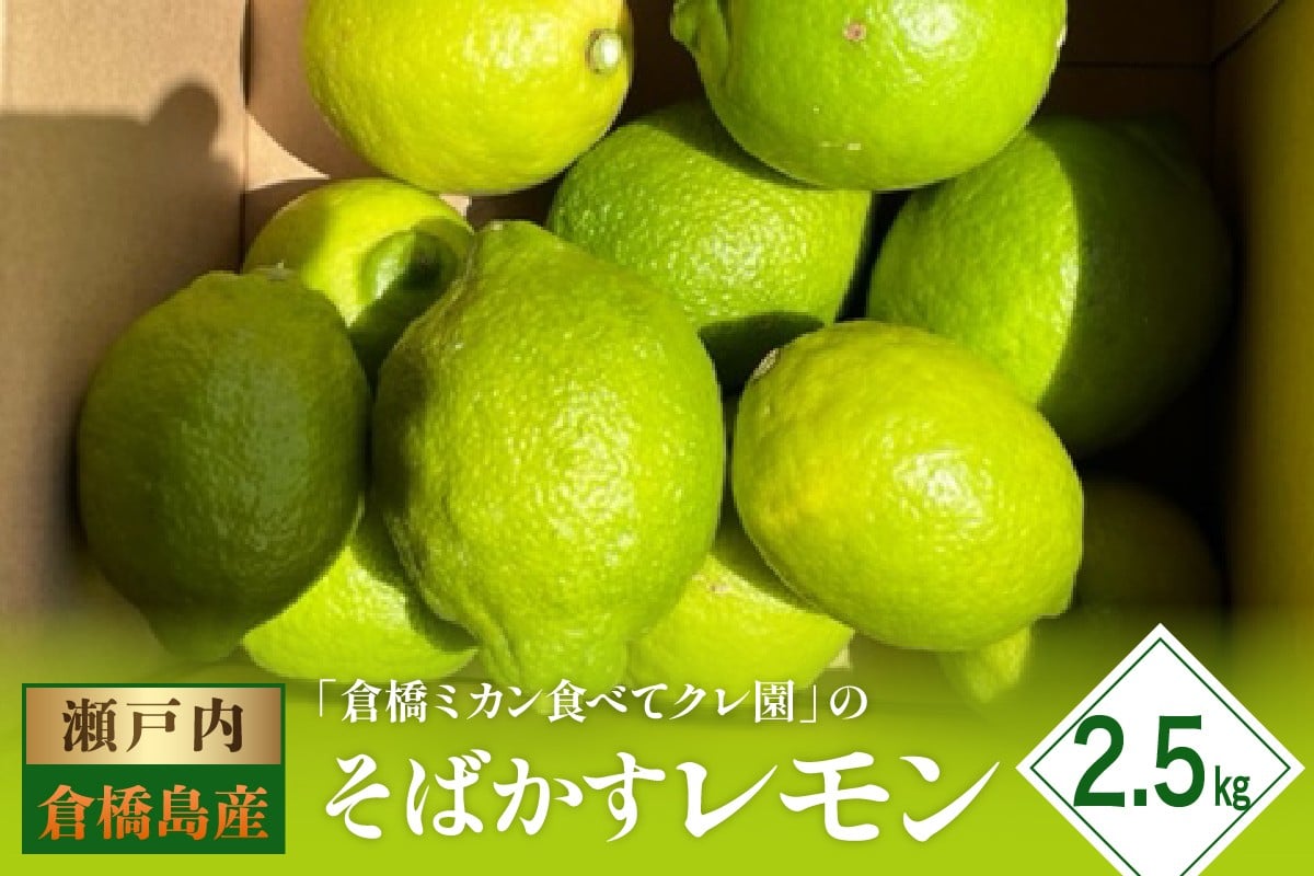 
            【2025年11月初旬～発送】瀬戸内特産 そばかすレモン 約2.5kg ku154-011-25
          