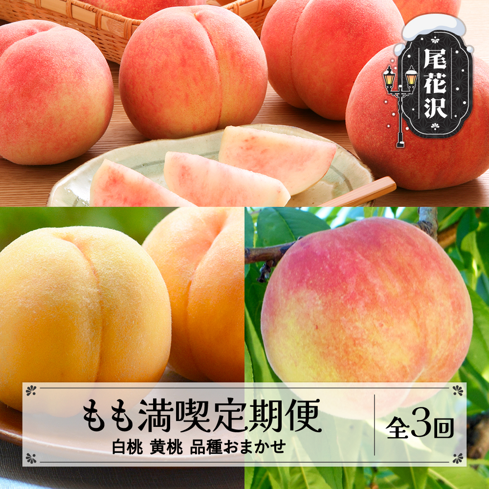 【先行予約】 フルーツ定期便 全3回 もも満喫定期便 白桃 黄桃 品種おまかせ 秀品 2026年8月上旬頃~発送開始 2026年産 令和8年産 佐竹物産 ※沖縄・離島への配送不可 sb-ftmox3-b