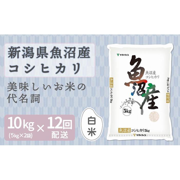 【ふるさと納税】【定期便全12回】新潟県魚沼産コシヒカリ10kg（受注の翌月から毎月配送）｜新潟県　新潟　魚沼　こしひかり　米　おこめ　お米 | お米 こめ 白米 食品 人気 おすすめ 送料無料