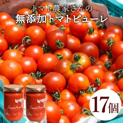 ふるさと納税 根羽村 保存料・食塩・化学調味料不使用!トマト農家さんのトマトピューレ 17個 ( 320g×17個 )