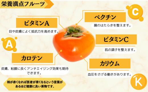 【先行予約】【JAわかやま】2Lサイズ 富有柿 10kg【2025年11月中旬～12月上旬に順次発送致します。】 柿 かき カキ フルーツ 果物 人気 旬【jan004A】