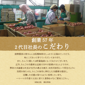 りんご　訳あり青森りんごサンふじ5kg程度糖度13度以上 冷た～いサンふじクール便【順次発送】