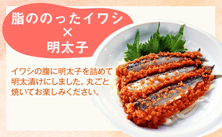 イカ明太子・数の子明太・イワシ明太詰め合わせセット 株式会社オーシャンフーズ《30日以内に出荷予定(土日祝除く)》---sc_fosftume_30d_22_15000_3set---