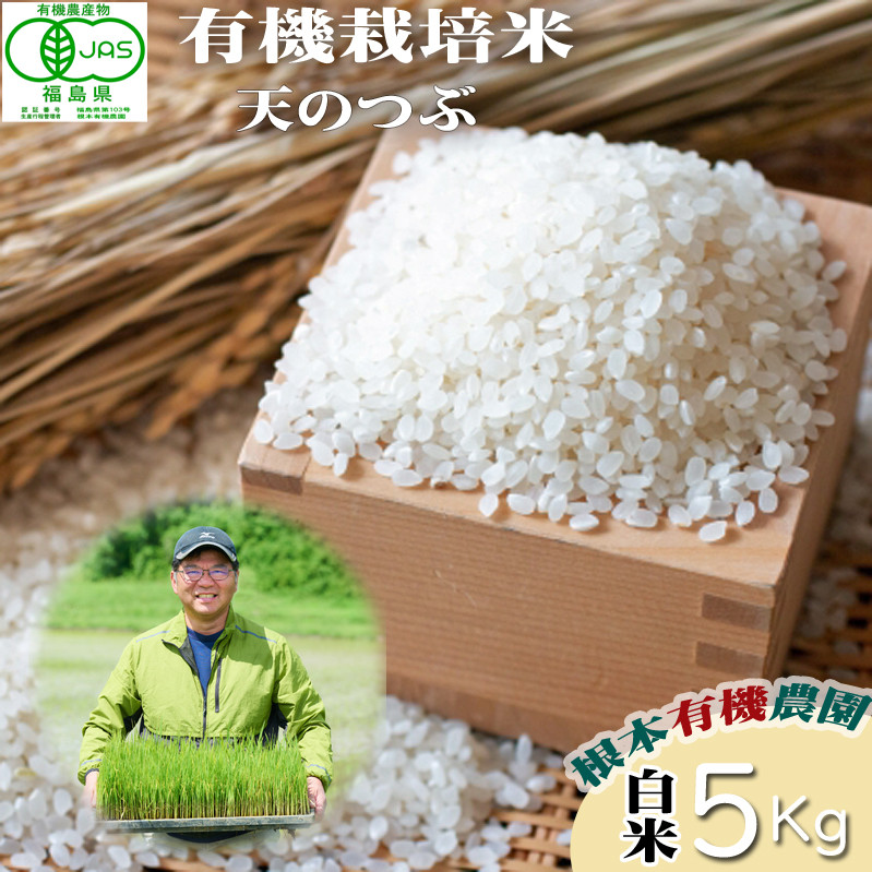 
            【令和6年産】 南相馬 天のつぶ 5kg 5キロ JAS 有機米 根本有機農園 天のつぶ 白米 精米 コメ ブランド米 福島 福島県産 低温貯蔵庫 送料無料 たんぱく質 旨い ふるさと納税 オンライン申請【3004301】
          