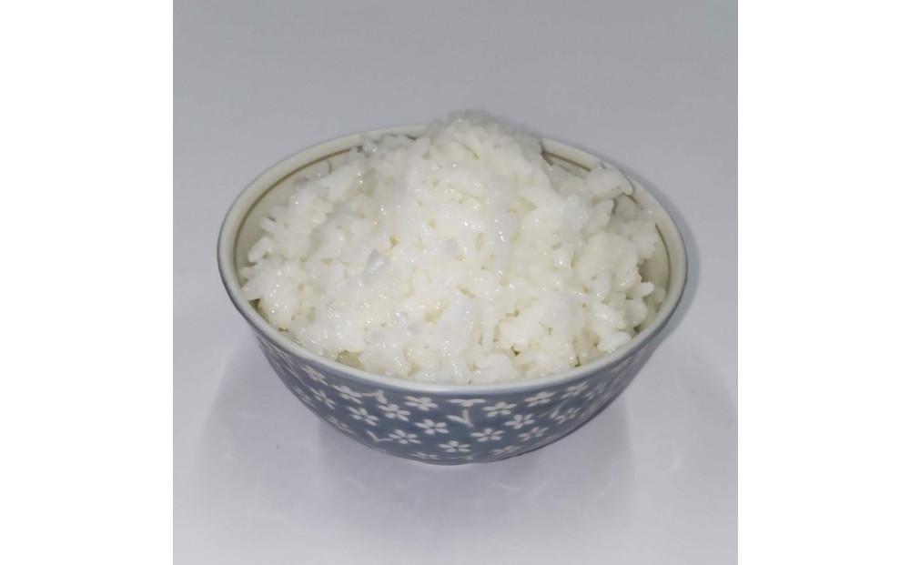 令和7年産 佐渡産コシヒカリ米「朱鷺と暮らす郷」10kg(5kg×2個) 佐渡・今井茂助商店おすすめ