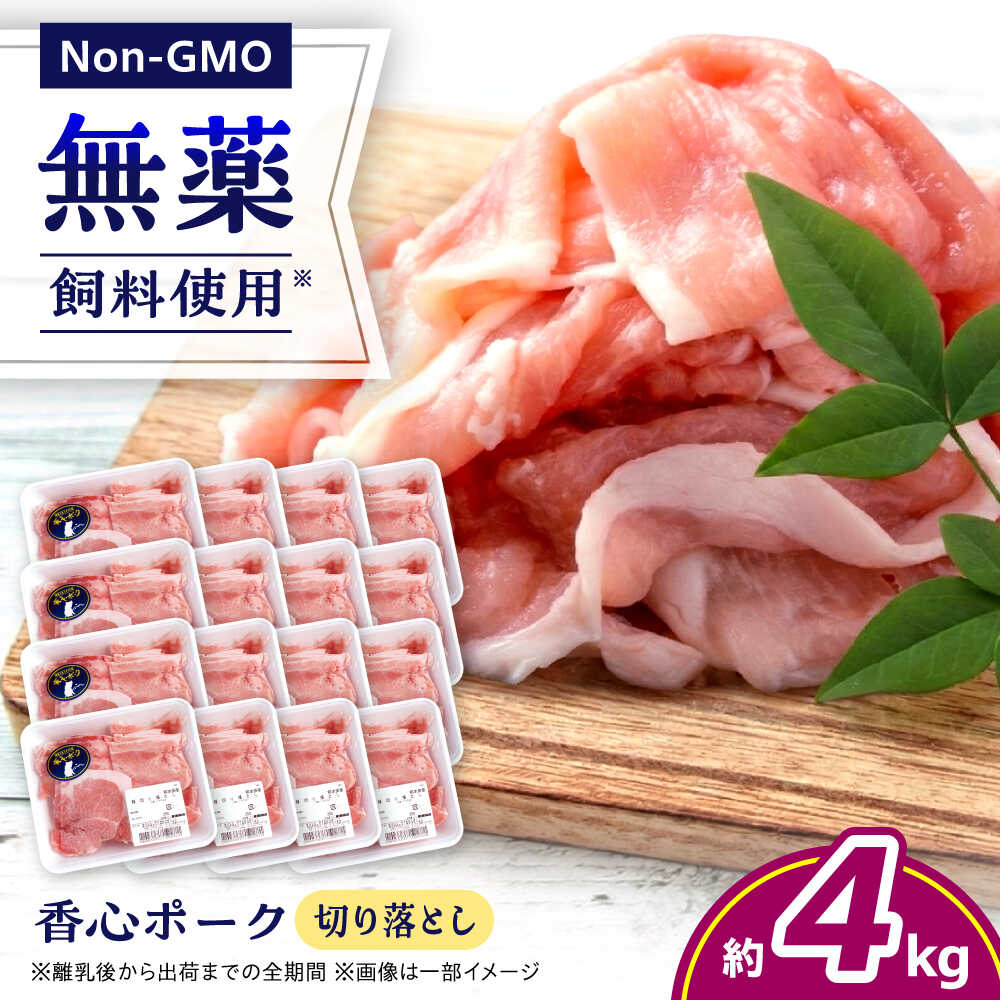 【ふるさと納税】『香心ポーク』 切り落とし 約250g×16パック（計約4kg）豚肉 冷凍 熊本県産 【有限会社 コーシン】 豚肉 豚 ポーク 切り落とし 熊本 熊本県 九州 大容量 冷凍 小分け パック おかず 料理 炒め物 ぶたにく にく 肉 [AYCK001]