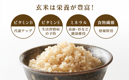 【新米発送】★金賞農家★が作る玄米「ふっくりんこ」10kg《杉本農園》 お米 こめ 北海道米 北海道産米