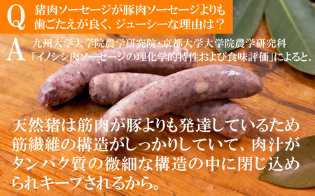 【ジビエ ソーセージ】平戸いのしし スモークソーセージ 3セット / 猪肉 加工品 燻製 人気ジビエ 長崎県 天然 イノシシ肉