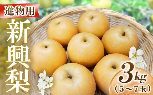 新興梨【進物】3kg（岸田秀果園） 鳥取 梨 なし ナシ 果物 フルーツ 和梨 新興梨 しんこうなし 人気  進物 贈答用