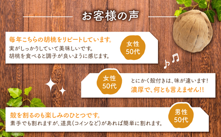 殻つきくるみ 約1.4kg（2023年収穫分）