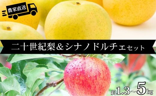 
                  【長野県松川町産】農家直送！2品種楽しめる二十世紀梨&シナノドルチェセット 約1.3kg～約5kg／9月中旬発送開始予定  // 長野県 南信州  減農薬栽培 りんご シナノドルチェ 洋梨 二十世紀梨 20世紀 ２０世紀 HF34 HF35 HF36
                