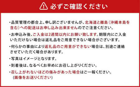 【アフター保証】うるう農園 あまおう DX等級 2パック （約570g）【2024年12月上旬～2025年1月下旬発送予定】 いちご イチゴ 苺 フルーツ 果物