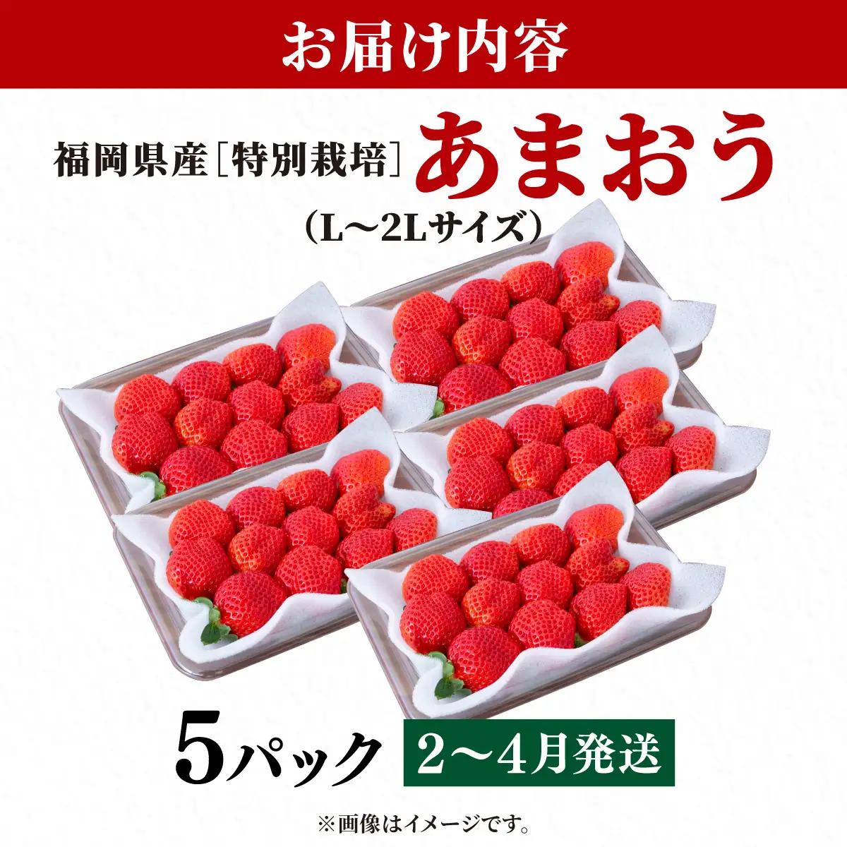 いちご 福岡県産 特別栽培 あまおう L~2Lサイズ（少し小ぶりサイズ）約1425g（約285g×5パック）【2～4月発送】| 農園直送 アフター保証 先行予約 福岡産 送料無料 ケーキ ギフト お祝