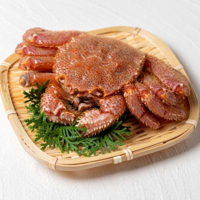 ふるさと納税 枝幸町 漁獲量日本一 枝幸毛がに 1尾(約570g) 北海道枝幸町産 |  | 01