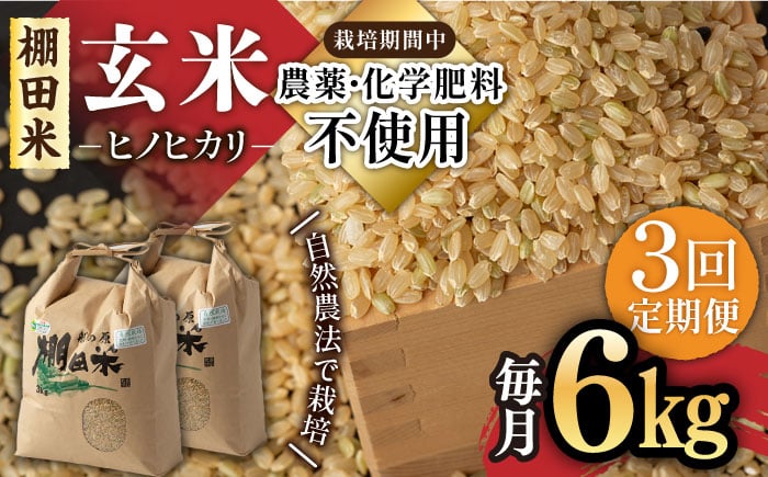 
            【3回定期便】令和7年産 自然農法で育てた棚田米 ヒノヒカリ 玄米 6kg（3kg×2袋）/永尾 忠則 [UAS011] 棚田玄米 米 お米
          