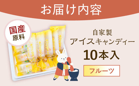 【手作りアイス】 フルーツ アイスキャンディー 10本入り 無香料 無着色 多治見市 / エイシン アイス 詰め合わせ 無添加 自家製[THD009]