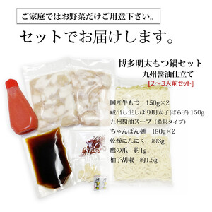 博多明太醤油もつ鍋セット 2～3人前 B024R