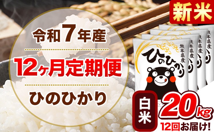 
            新米 令和7年産【12ヵ月定期便】 白米 ひのひかり 定期便 20kg 5kg×4袋《お申込み翌月から出荷開始》 熊本県産 精米 ひの 米 こめ ヒノヒカリ コメ お米
          