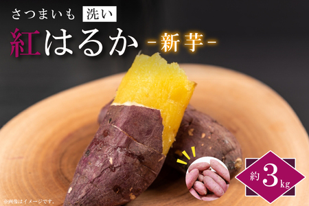 EK-8　【2026年9月より順次発送】農産物直売所「やさいの声」さつまいも　紅はるか　新芋　洗い　約3kg