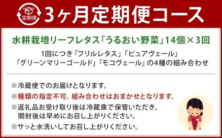 【定期1ヶ月毎3回】水耕栽培 リーフレタス「うるおい野菜」14個セット 野菜 フリルレタス ピュアヴェール グリーンマリーゴールド モコヴェール 定期便 セット 福岡県 北九州市